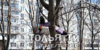 (мнение) «Самокаты – убийцы тольяттинцев»! Ненависть к СИМам достигла предела - TltGorod.Ru