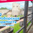 Любимая страна Россия. Изборская крепость – каменный свидетель средневековой Руси - ТК ТОЛЬЯТТИ 24