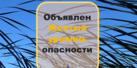 В Тольятти будут судить курьера телефонных мошенников, укравшего 600 тысяч рублей у пенсионерки - TltGorod.Ru