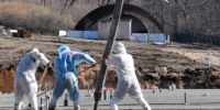 К летним каникулам в «Жигулевском Артеке» будет сдан новый корпус - Газета Ставрополь-на-Волге