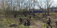 Тольятти — чистый город - Городские Ведомости