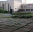 newsplaceholder - Мэрия городского округа Тольятти