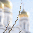Вербное воскресенье – один из самых значимых праздников в православии - ТК ТОЛЬЯТТИ 24