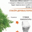 newsplaceholder - Мэрия городского округа Тольятти