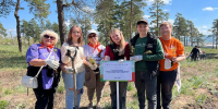 Тольяттинцы приняли участие в Общероссийском субботнике - Городские Ведомости