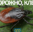newsplaceholder - Мэрия городского округа Тольятти