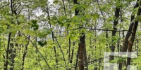 В Тольятти ожидается до +29°C - TltGorod.Ru