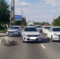 В Тольятти иномарка проехала на красный и сбила 12-летнего велосипедиста на переходе - TLT.Ru