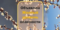 В 63-м регионе ожидаются гроза и сильный ветер - TltGorod.Ru