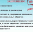 Правила выгула собак в Самарской области: официальная информация - TltGorod.Ru
