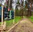 В Бузулукском бору открылся новый благоустроенный маршрут - TLT.Ru