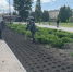 В Тольятти на центральной аллее Горсада высаживают цветы - Площадь Свободы