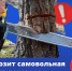 Что будет, если спилить дерево на даче? Самовольно вырубать деревья даже на личном участке нельзя - ТК ТОЛЬЯТТИ 24