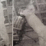Жители Жигулевска обворовали магазин, чтобы продолжить пьянку - TLT.Ru
