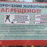 Тольяттинцам напомнили о незаконных захоронениях животных - Городские Ведомости
