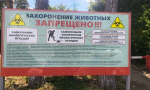 Тольяттинцам напомнили о незаконных захоронениях животных