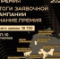 В пятом сезоне Знание.Премия самарские просветители стали самыми активными в ПФО - TltGorod.Ru