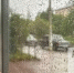 В Тольятти ожидаются дождь и +13°C - TltGorod.Ru