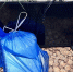 Тольяттинка попросила пьяную соседку присмотреть за квартирой и осталась без техники - TLT.Ru