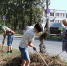 В Тольятти началась уборка сухой листвы - Городские Ведомости