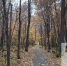 В Тольятти ожидается до +7°C - TltGorod.Ru