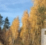 В Тольятти ожидается до +8°C - TltGorod.Ru