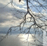 В Тольятти ожидается до +7°C - TltGorod.Ru
