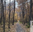 В Тольятти ожидается до +6°C - TltGorod.Ru