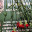 Присутствующие почтили память бойцов минутой молчания - TltGorod.Ru