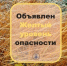 По Самарской области из-за усиления ветра объявлен желтый уровень опасности - TltGorod.Ru