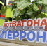 Новогодние экскурсии «От вагона до перрона» стартуют на Куйбышевской железной дороге - НеСлухи.РФ