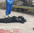 При падении тольяттинка получила смертельные травмы - TltGorod.Ru