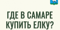 Сколько стоит праздник: в Самаре открыты елочные базары  - НеСлухи.РФ