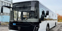 Тольятти получил 22 новых автобуса для работы на муниципальных маршрутах - Городские Ведомости