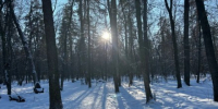 В Самаре ожидаются морозы до −28°C - НеСлухи.РФ