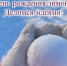 Театр, поездка или активный отдых: идеи празднования дня рождения зимой - ТК ТОЛЬЯТТИ 24