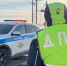 В Самарской области судили злостного нарушителя ПДД за пьяную езду - TltGorod.Ru