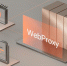 Solar webProxy: как вывести данные "из тени" и снизить риски ShadowAI - Волга Ньюс Тольятти
