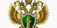 В Самарской области мошенники украли у супруги участника СВО 995 тысяч рублей - TltGorod.Ru