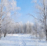 В Тольятти ожидается до -13°C - TltGorod.Ru