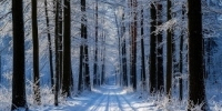 В Тольятти ожидается до -9°C - TltGorod.Ru