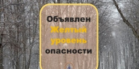 В Самарской области сохранится жёлтый уровень опасности из-за сильного ветра - TltGorod.Ru