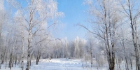В Тольятти ожидается до -6°C - TltGorod.Ru