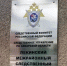 (видео)(мнение) О новом суде над беглой «целительницей» Ладой-Русь*: подробности - TltGorod.Ru