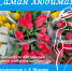 Самая любимая! Жена, мама, бабушка, дочка, сестра, подруга... Именно им посвящается наш специальный проект к 8 Марта! - ТК ТОЛЬЯТТИ 24