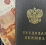 В Самарской области экс-глава архитектуры Волжского района «потеряла доверие» из-за сделки с родственницей - НеСлухи.РФ