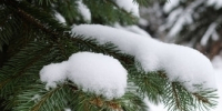 В Тольятти ожидается +5°C - TltGorod.Ru