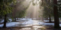 В Тольятти ожидается +7°C - TltGorod.Ru