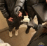 В Самарской области оперативники нашли у нервной прохожей сверток с синтетическим наркотиком - TltGorod.Ru