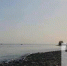 В Тольятти ожидается до +2°C - TltGorod.Ru